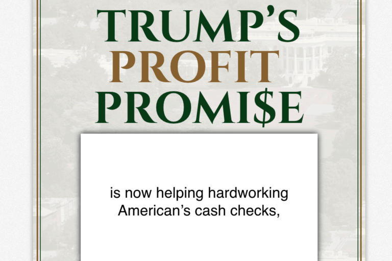 trump's profit promise