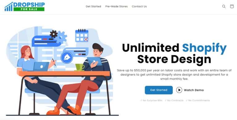 Dropship For Sale Review